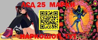 ПСИЛОЦИБИНОВЫЕ ГРИБЫ Краснодар