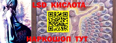 ПСИЛОЦИБИНОВЫЕ ГРИБЫ Краснодар