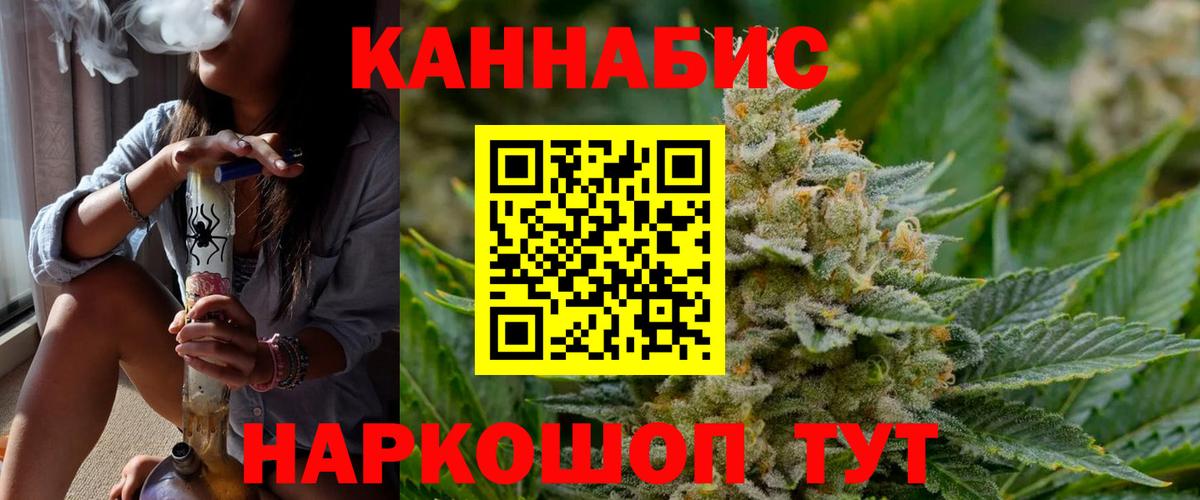 Канабис семена Кашира